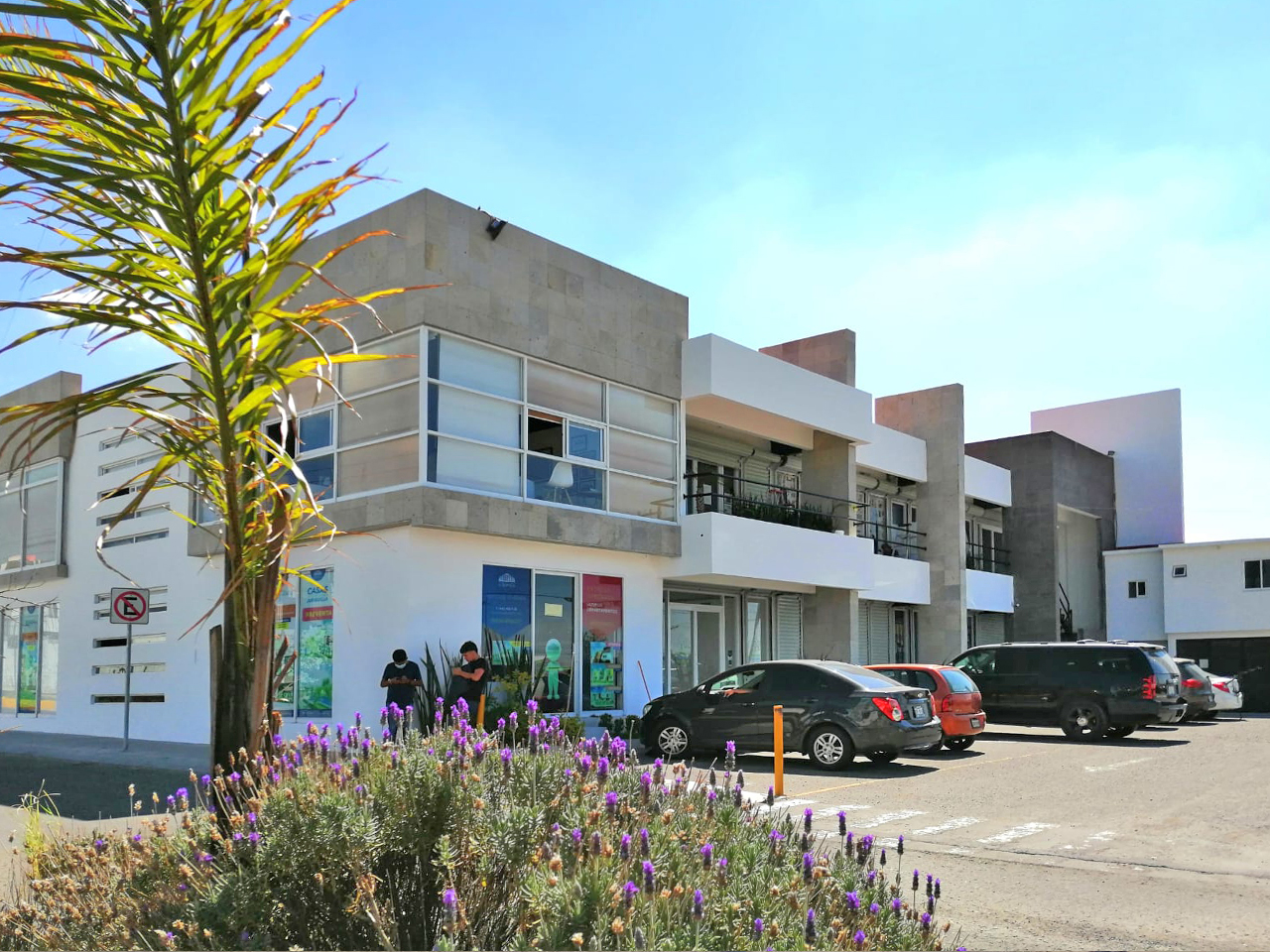 Locales Comerciales 2
